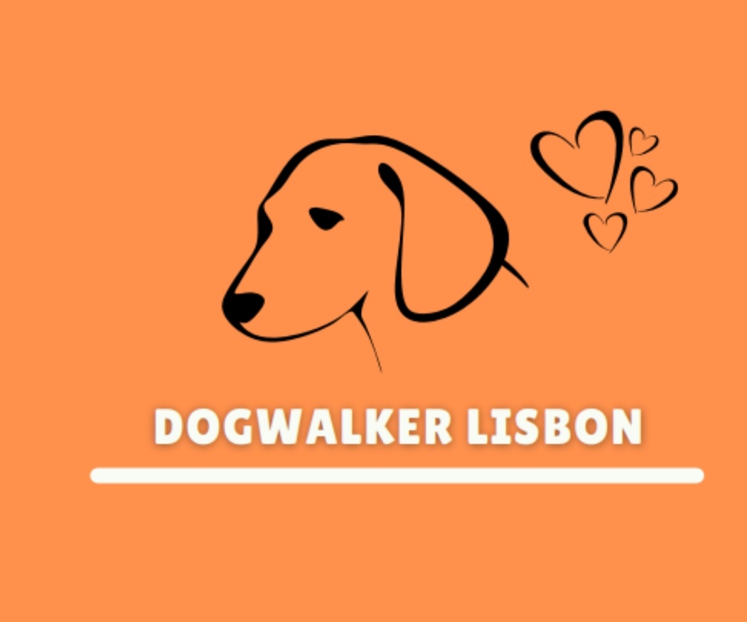 Profile Image / Logo